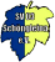 LSV 1990 Schöngleina