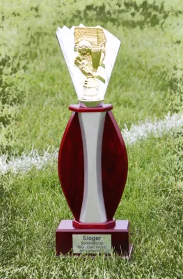 `WG Carl Zeiss´- Cup 2016