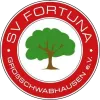 F. Großschwabhausen