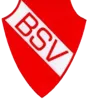 Bodelwitzer SV II